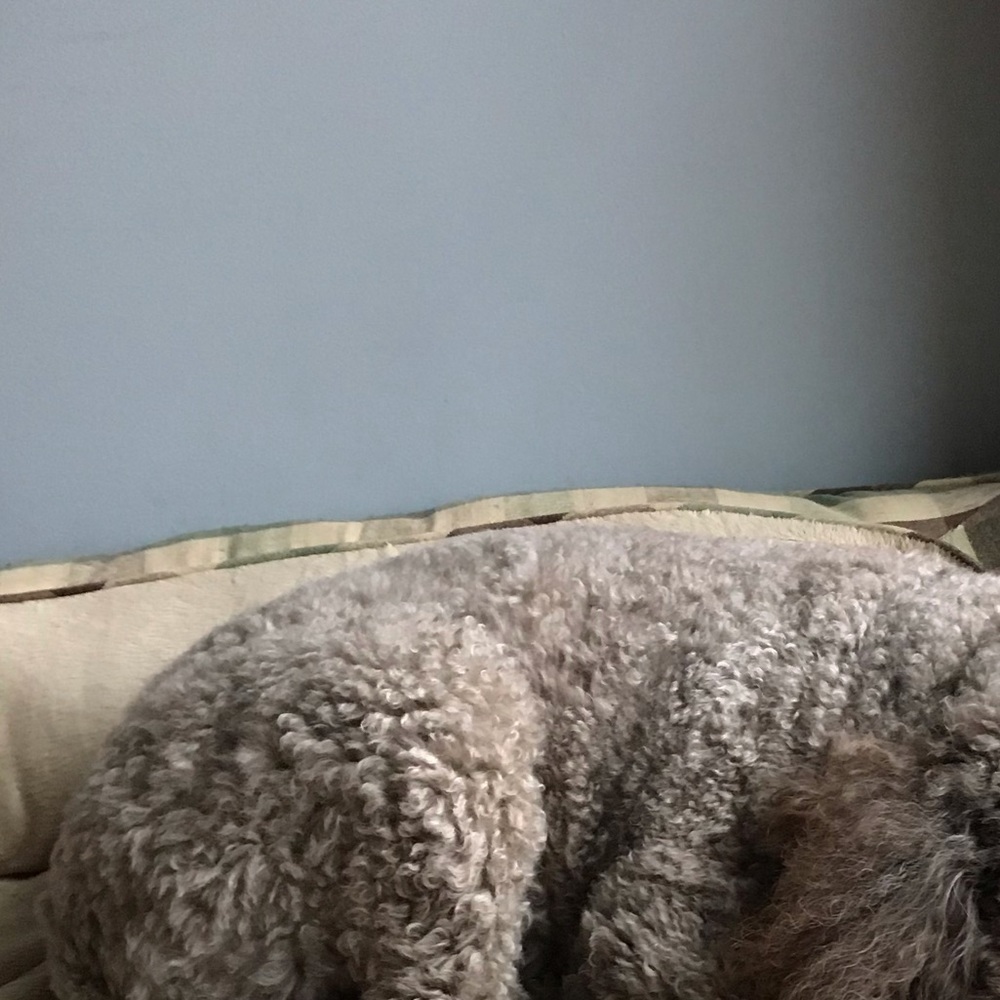 Meet your Posher, Kaitlyn